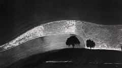 William garnett two Trees