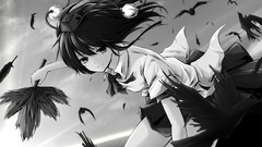 Wind black and white Birds feathers flying monochrome fans 