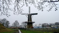 Windmill