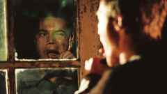 Window panes reflections Michael