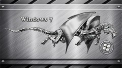 Windows 7