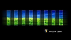 Windows 7 windows