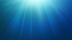 Windows and can microsoft hey using