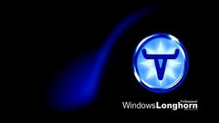 Windows computer