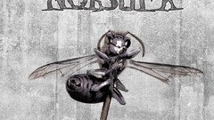 Windows germany noise noisuf-x voodoo excessive exposure 