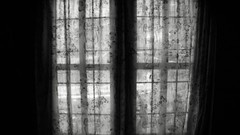 Windows monochrome curtains