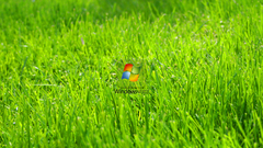 Windows vista computer