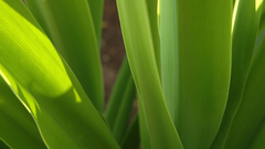 Windows vista large computer