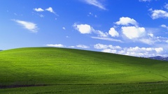 Windows xp