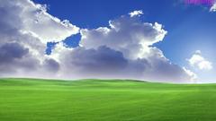 Windows xp