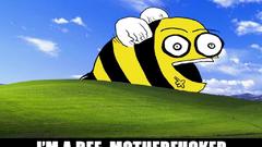 Windows xp bees