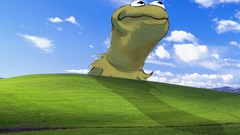 Windows xp kermit the
