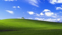 Windows xp Luigi microsoft