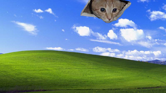 Windows xp microsoft windows