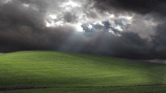 Windows xp microsoft windows