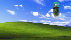 Windows xp microsoft windows