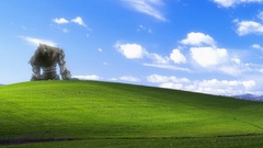 Windows xp trolling microsoft