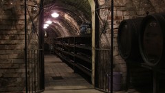 Wine cellar
