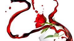 Wine food roses drinks