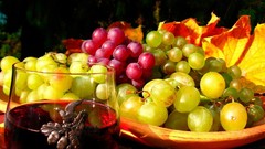 Wine grapes autumn leaves
