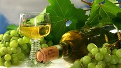 Wine grapes wine glass