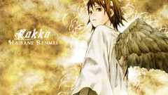 Winged humanoids kakka haibane