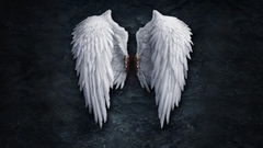 Wings
