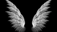 Wings 3d black background