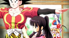 Wings Anime anime girls brown eyes kanon gray hair touhou black 