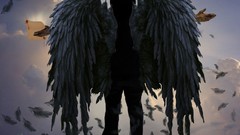 Wings Animus Music Pirate