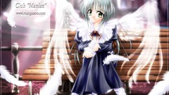 Wings bench feathers angels halos