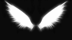 Wings black background