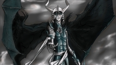 Wings bleach Espada Swords