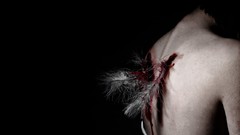 Wings blood broken horror angels