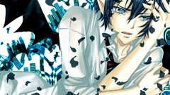 Wings blue eyes school