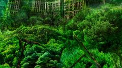 Wings Castles forests architecture