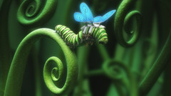 Wings caterpillars Butterflies