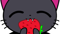 Wings cats Animals food