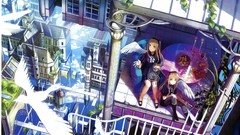 Wings cityscapes Birds food