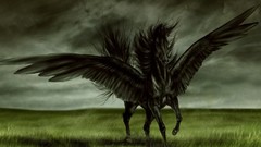 Wings flying Horses pegasus