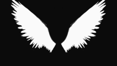 Wings monochrome