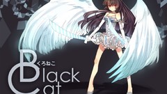 Wings panty and stocking