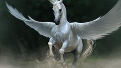 Wings pegasus fantasy art