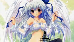 Wings Princess Anime Hime