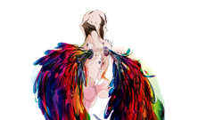 Wings Simple Background