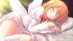Wings sleeping touhou lily white panties
