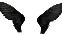 Wings white background