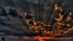 Winner contest sept nocal 1050 1400