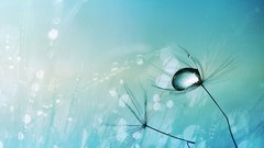 Winter abstract ghosts