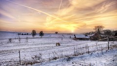 Winter Aircraft Horses skyscapes